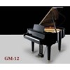 dan grand piano kawai gm-12 hinh 1